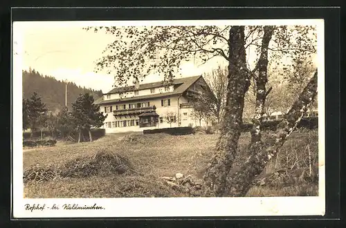 AK Waldmünchen, Gasthaus Rosshof