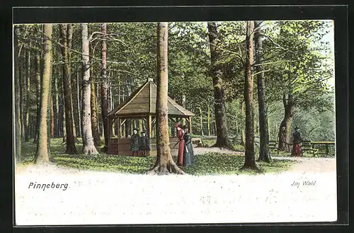AK Pinneberg, Spaziergänger und Pavillon im Wald
