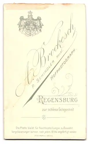 Fotografie A. Brockesch, Regensburg, Portrait eleganter Herr mit Vollbart