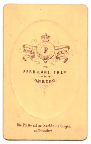Fotografie Ferd. u. Ant. Frey, Amberg, Portrait junge Dame mit Kragenbrosche und Amulett