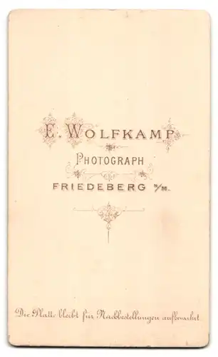 Fotografie E. Wolfkamp, Friedeberg N /M., Portrait junger Herr im karierten Anzug