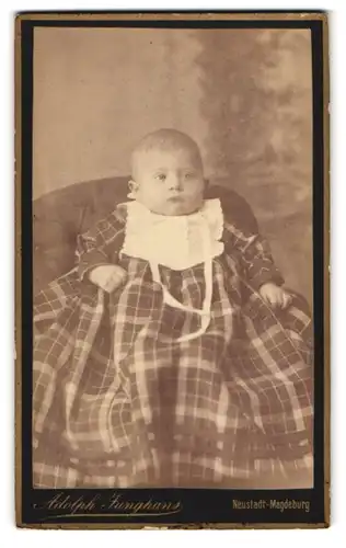 Fotografie Adolph Junghans, Neustadt-Magdeburg, Breiteweg 21, Portrait süsses Kleinkind im karierten Kleid