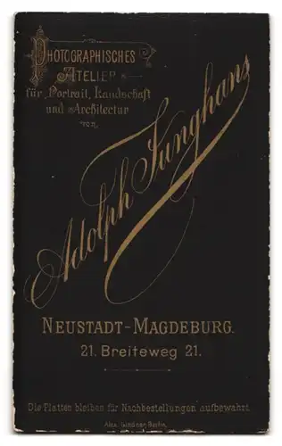Fotografie Adolph Junghans, Neustadt-Magdeburg, Breiteweg 21, Portrait süsses Kleinkind im karierten Kleid