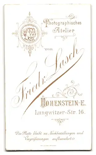 Fotografie Friedr. Lasch, Hohenstein-E., Lungwitzer-Str. 16, Portrait junge Dame im Kleid