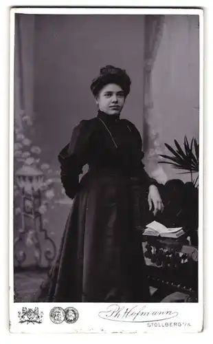 Fotografie Ph. Hofmann, Stollberg i /S., Portrait junge Dame im eleganten Kleid