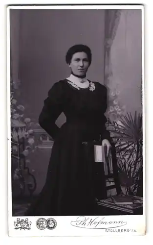 Fotografie Hofmann, Stollberg, Feine Dame in bürgerlichem Kleid