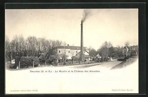 AK Dourdan, Le Moulin et le Château des Alouettes