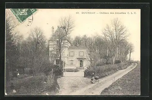 AK Dourdan, Château des Alouettes