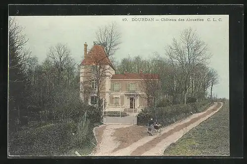 AK Dourdan, Château des Alouettes