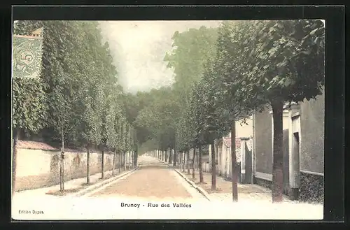 AK Brunoy, Rue des Vallées