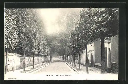 AK Brunoy, Rue des Vallées