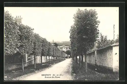 AK Brunoy, Avenue des Roses