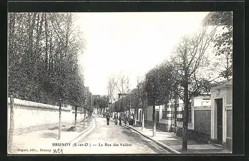 AK Brunoy, La Rue des Vallées