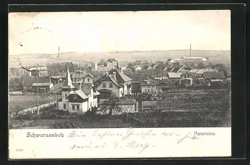 AK Schwarzenbek, Panorama