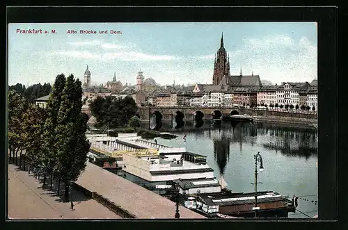 AK Alt-Frankfurt, Flusspartie, Alte Brücke, Dom