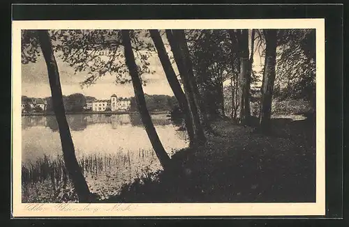 AK Rheinsberg /Mark, Blick zum Schloss