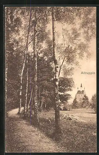 AK Altruppin, Weg mit Blick auf die Kirche St. Nikolai