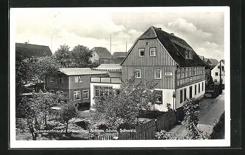 AK Schöna /Sächs. Schweiz, Gasthaus Bräunling