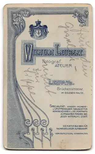 Fotografie Wilh. Leukert, Leipa i. B., Brückenstrasse, Bürgerliche Dame mit hochgestecktem Haar