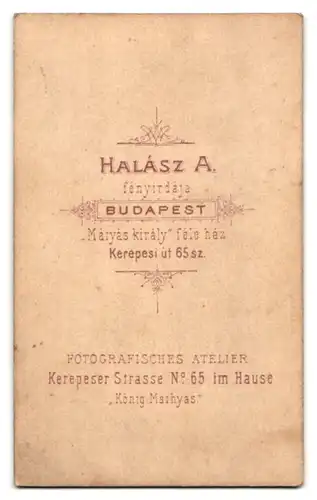 Fotografie Halász A., Budapest, Kerepesi ut 65 sz., Junge Frau in weissen Kleidern und Hochsteckfrisur