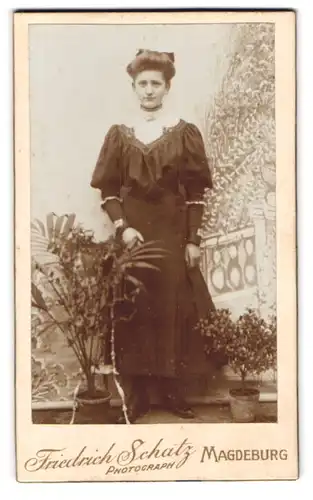 Fotografie Friedrich Schatz, Magdeburg, Portrait junge Dame im Kleid