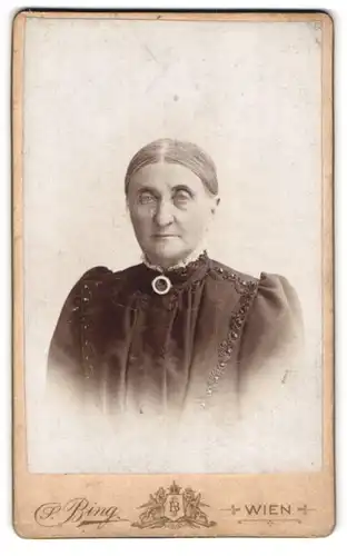Fotografie Sigmund Bing, Wien, Goldschmidgasse 4, Portrait ältere Dame im bestickten Kleid mit Kragenbrosche