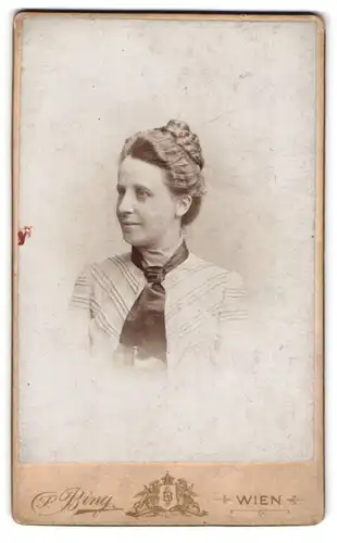 Fotografie Berthold Bing, Wien, Goldschmidgasse 4, Portrait bürgerliche Dame mit Hochsteckfrisur