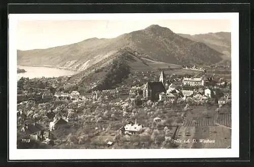 AK Spitz /Donau, Totalansicht mit Kirche