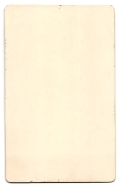 Fotografie unbekannter Fotograf und Ort, Portrait Königin Margarethe von Italien mit Papagei im Atelier, Rückenportrait 1
