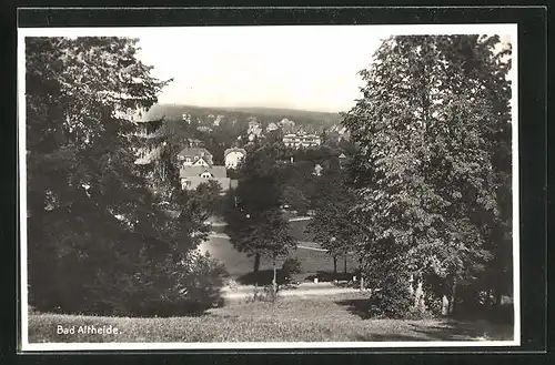 AK Bad Altheide, Teilansicht aus der Ferne
