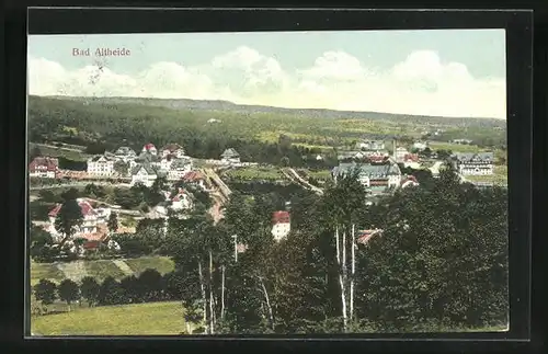 AK Bad Altheide, Ortsansicht von einer bewaldeten Anhöhe aus