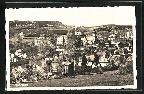 AK Bad Altheide, Ortsansicht mit Kirche