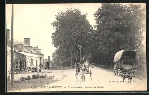 AK Saincaize-le-Guétin, La Grenouille, Avenue du Guétin