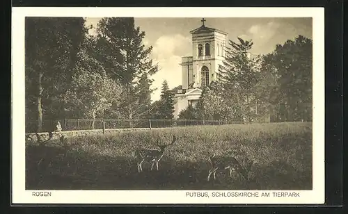 AK Putbus /Rügen, Schlosskirche am Tierpark