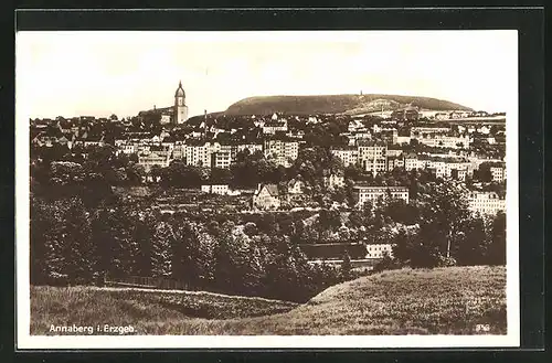 AK Annaberg i. Erzgeb., Totalansicht der Stadt