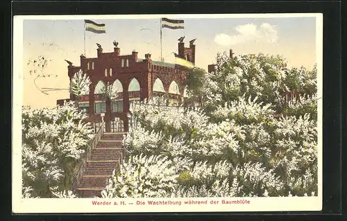 AK Werder a. H., Gasthaus Wachtelburg während der Baumblüte