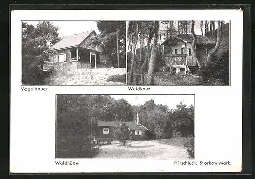 AK Hirschluch / Mark, Vogelbauer, Waldkauz, Waldhütte