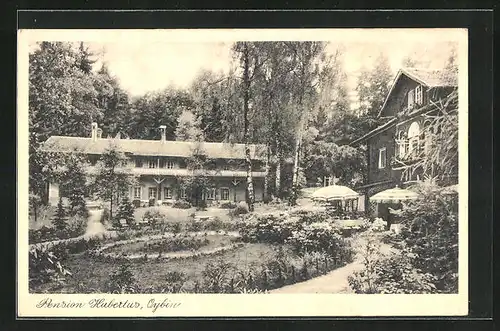AK Oybin, Hotel Pension Hubertus