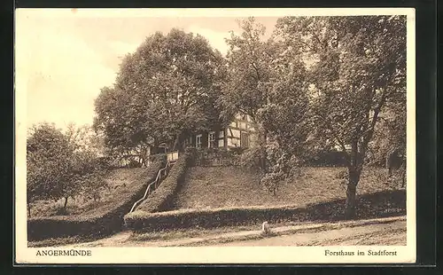 AK Angermünde, Gasthaus Forsthaus im Stadtforst