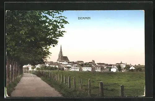 AK Demmin, Panorama des Ortes
