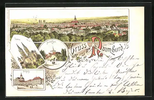 Lithographie Naumburg a. S., Panorama mit Marktplatz, Dom und Marientor