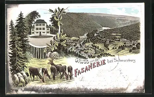 Lithographie Schwarzburg, Panorama mit Fasanerie