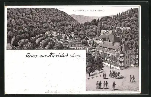 Lithographie Alexisbad / Harz, Kurhotel mit Anlagen