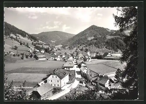 AK Reichenau, Panorama mit Ortschaft und Berglandschaft