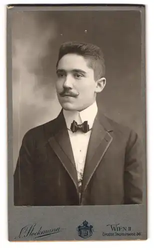 Fotografie L. Stockmann, Wien, Grosse Stadtgutgasse 36, Portrait eleganter Herr mit Moustache