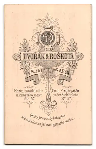 Fotografie Dvorak & Roskota, Pilsen, Pragergasse 57, Junge Frau mit Brosche