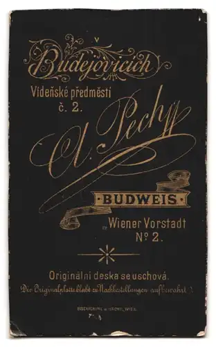 Fotografie A. Pech, Budweis, Wiener Vorstadt 2, Junge Frau mit Ohrring