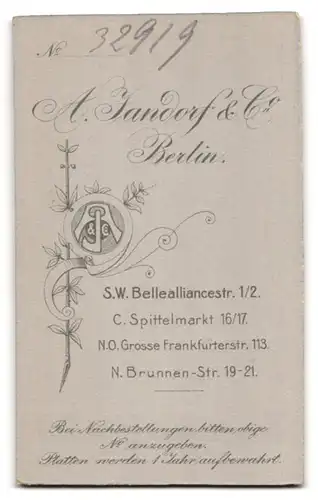 Fotografie A. Jandorf & Co., Berlin-SW, Bellealliancestr. 1 /2, Portrait junge Dame in hübscher Kleidung