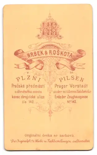 Fotografie Hrbek & Roskota, Pilsen, Zeughausgasse 142, Portrait junger Mann im Anzug mit Fliege