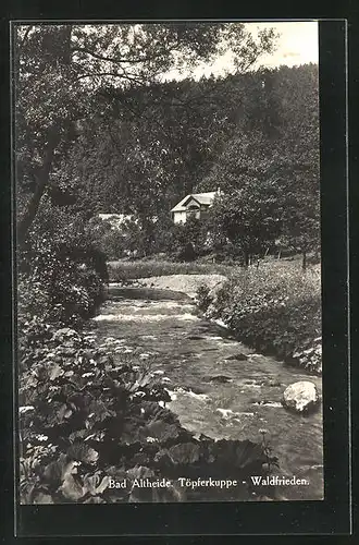 AK Bad Altheide, Töpferkuppe, Gasthaus Waldfrieden